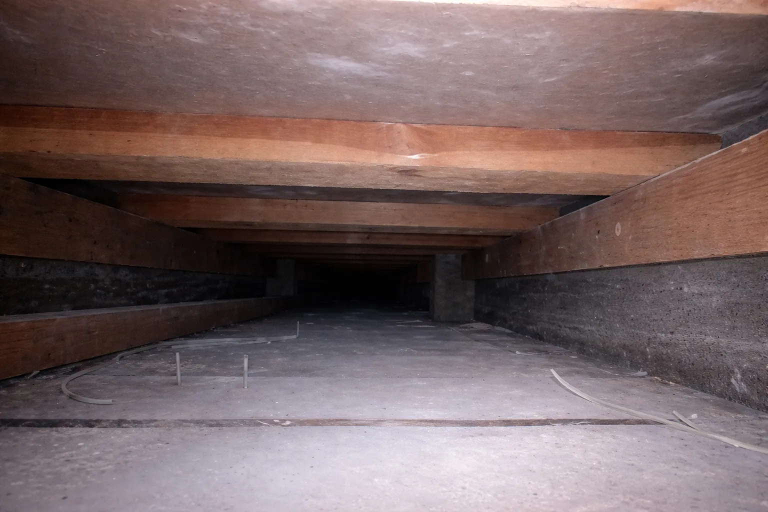 kontakt Calidi for specialiserede løsninger